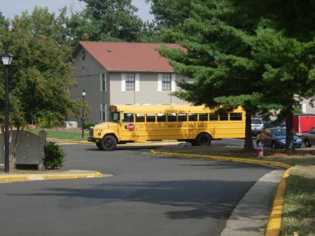 les fameux school bus